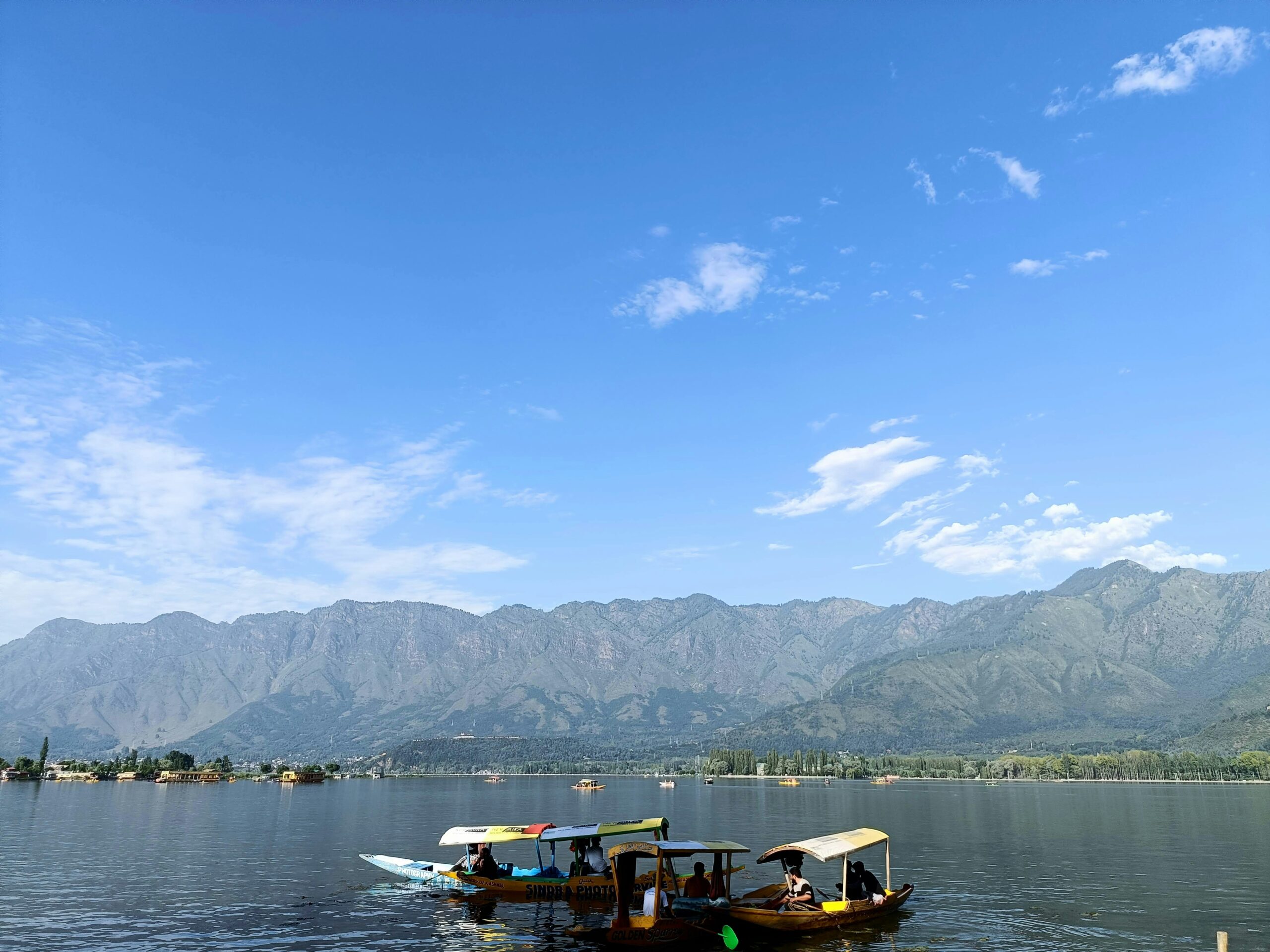 dal lake view