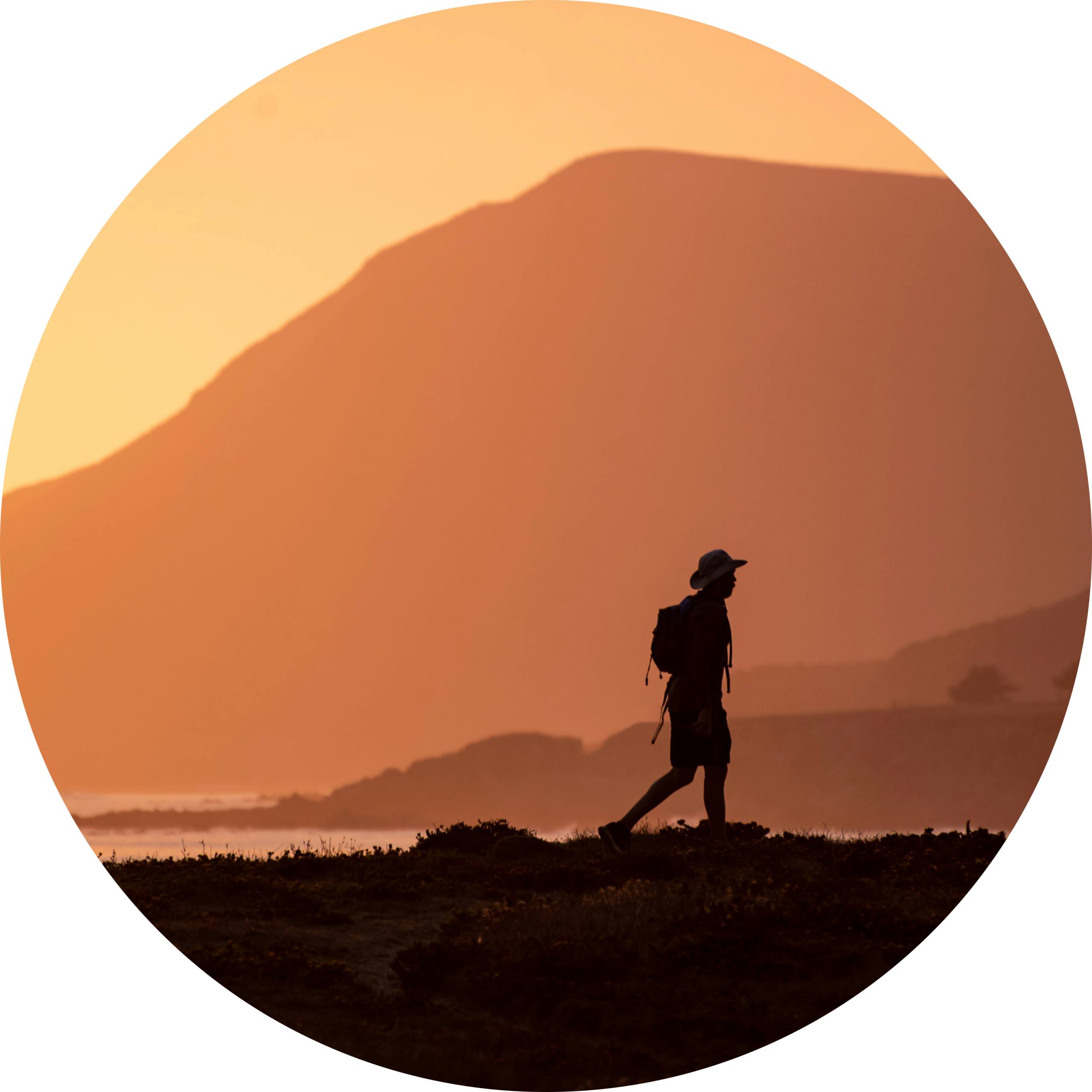 tim-mossholder-MNuPX3WXLEk-unsplash-modified